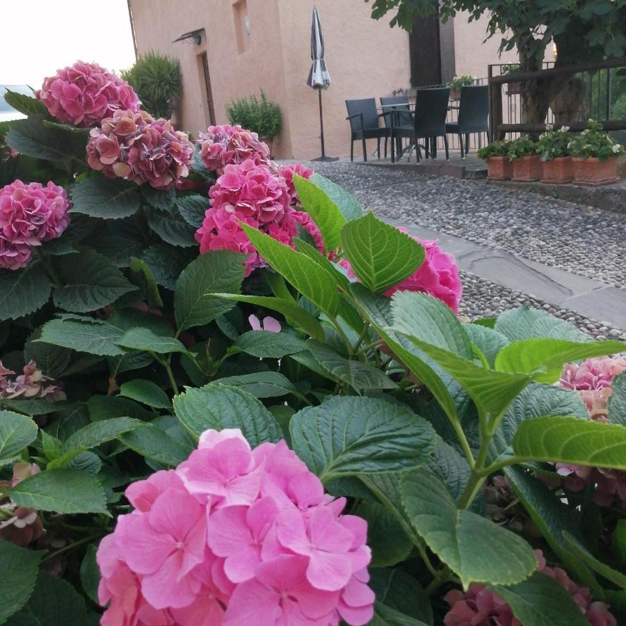 B&B Ronco Degli Ulivi Iseo Extérieur photo