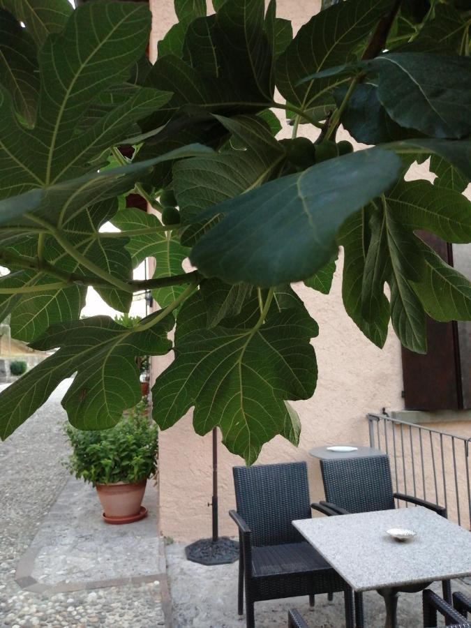B&B Ronco Degli Ulivi Iseo Extérieur photo
